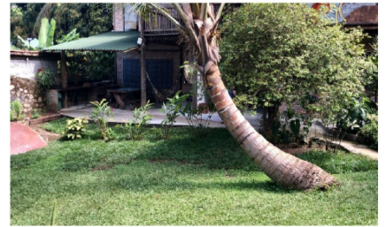 Imagem 12 - 3 chalés