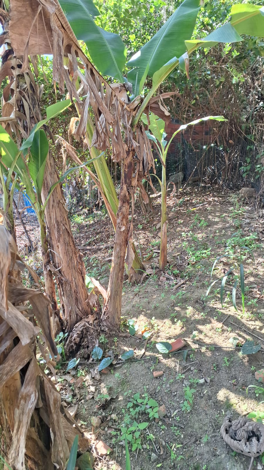 Imagem 13 - Imóvel a venda BV