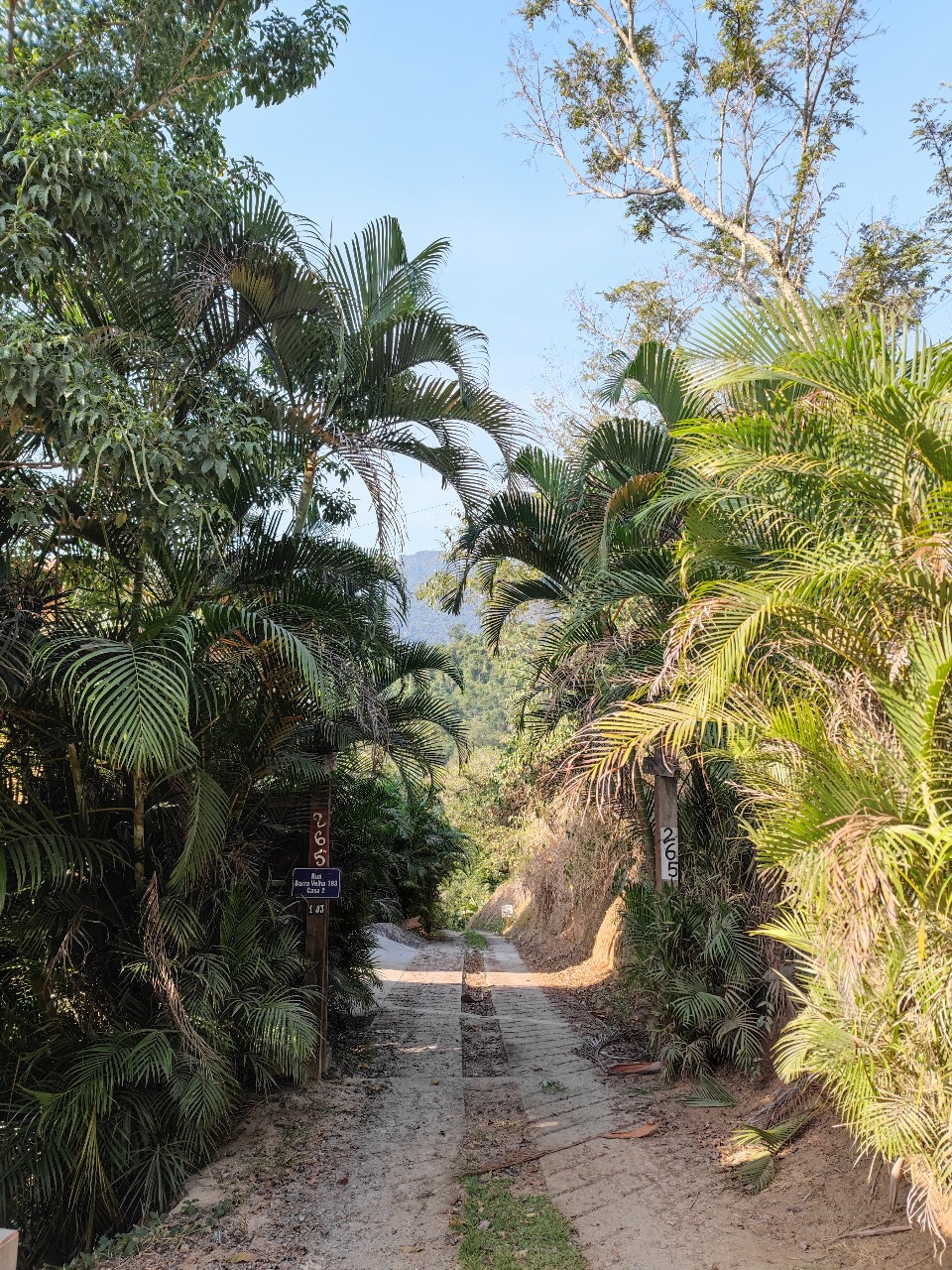 Imagem 9 - Imóvel Piúva